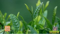 [ÿ��ũ��]ǧ����ѡ������ë��ӹ���Ƶ