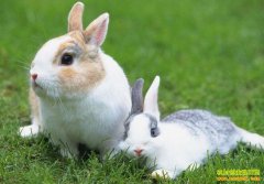 [�Ƽ�Է]����Ǳ�������������˶����ġ�����ʩ