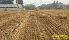 �������:С��ոѱ��Ϊ�������Ϻ�����Ч���