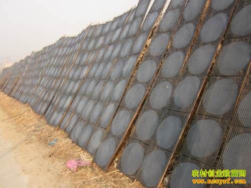 ������Ǩ����Ƥ�ӹ���ũ���¸�����Ŀ