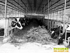 ������ϪȽ������ֳ��ţ��ҵ�¸�