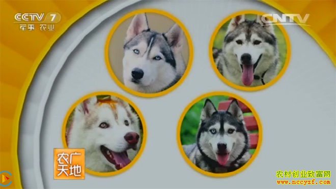 [ũ�����]С������-��ʿ��Ȯ��ѱ�� 20160704