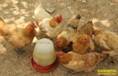 �Ĵ�������������ֳ���ӵ��������¸�·