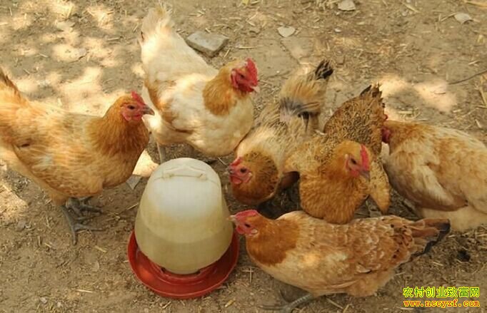 �Ĵ�������������ֳ���ӵ����˳�һ���¸�·