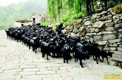 ɽ�����ʾ�������ũ�����辰�¸���