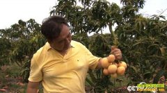 [�¸���]����׬Ǯ�����｡ʧ�ֺ��â���Ƹ�����