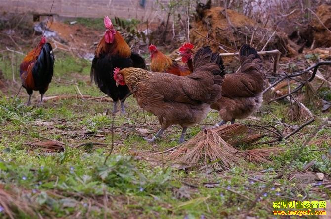 ��������90�������硱�������������д���