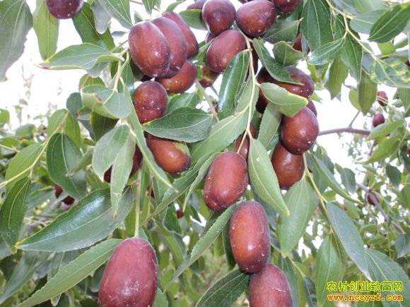 ɽ������80���������ɺ컥��������������ȫ��