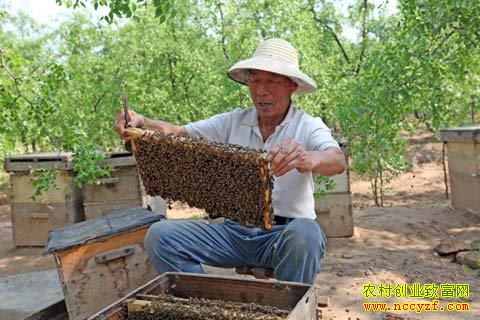 ɽ�����ݽ������������������� ���¸���ͷ��