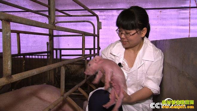 [�¸���]������ƽ�����������������׬Ǯ