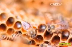 [�Ƽ�Է]����Ұ�� �л��۷���ֳ��Ƶ