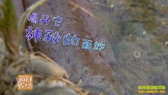 [ÿ��ũ��]�Ĵ����������³�����������������׬Ǯ