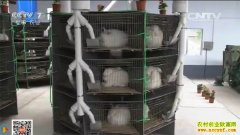 [�Ƽ�Է]��ֳ���� ��������������