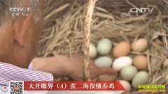 [�Ƽ�Է]�����ӳ����Ŷ����ܶ�����