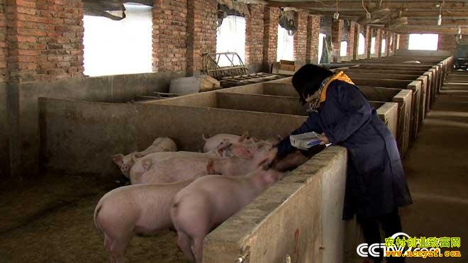 [�¸���]������������ȥ����