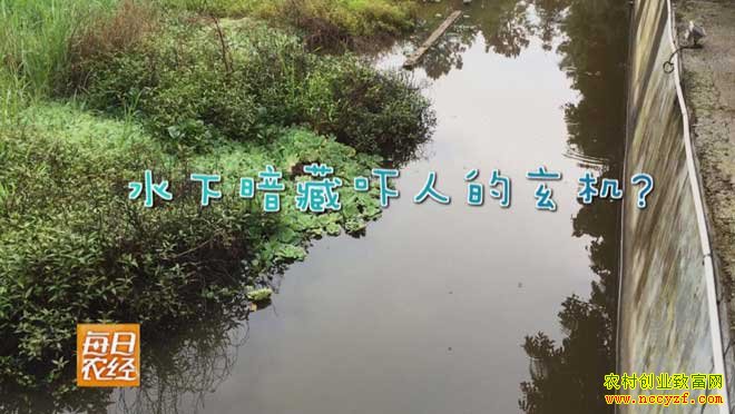 [ÿ��ũ��]��ˮ���С��Ϻ ��������ˮ��