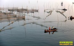 �½�ʯ���ӳ�����ˮ����ֳ��ҵ�¸�