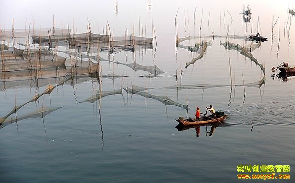 �½�ʯ���ӳ�����ˮ����ֳ��ҵ�¸�