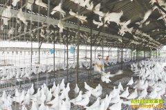 ������׬Ǯ:�����ϳ������ֳ��ũ���¸�����Ŀ