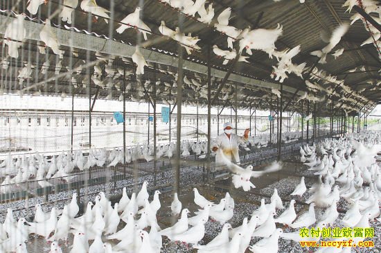 ������׬Ǯ:�����ϳ������ֳ��ũ���¸�����Ŀ