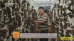 [ũ�����]��ľ����������������༼����Ƶ