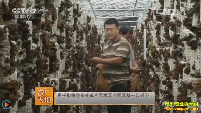 [ũ�����]��ľ�����������������