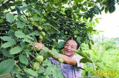 ������ɽ�ֺ���׬Ǯ��:����������ֺ��Һ�׬Ǯ