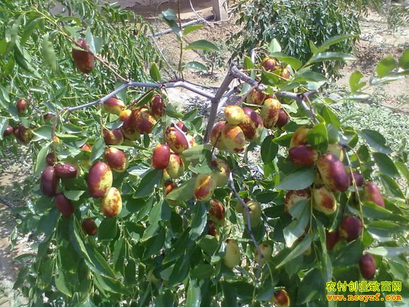 ��ô������:ɽ���������ɺ������������ߺ�