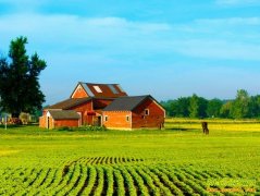 ��������������:��ͥũ�������¸�·