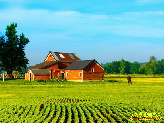 ��������������:��ͥũ�������¸�·