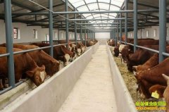 ��������:��ţ��ֳ��ũ����ƶ�¸�����Ŀ