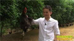 [�¸���]�������������輦������׬����