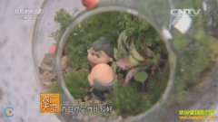 [ũ�����]̦޺���˹���ֳ��Ӧ����Ƶ