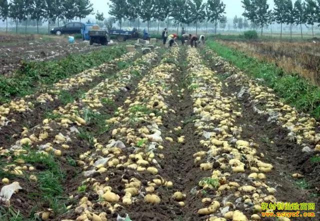 ���ɹ��������и�Ȫ���������˾�����7���