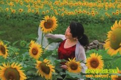 �����°�:�Ϳ���ֲ��ũ����ƶ�¸�����Ŀ