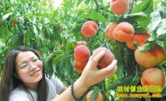 ��������ũ����ֲ����Ķ������8000��Ԫ