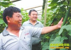 ����¹�ظ���������ֻƹ�������50��Ԫ