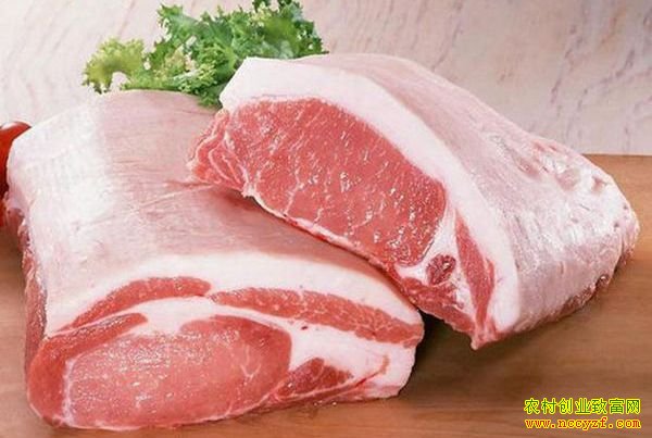 生猪价格行情:猪肉价格连续下跌 猪周期下跌拐点?