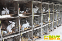 ������׬Ǯ��:�㽭�²���ǧμ�����¸���