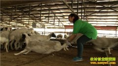 [�¸���]����������������������׬150��Ԫ