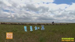 [ÿ��ũ��]��ֳ��β�����Ǯ������