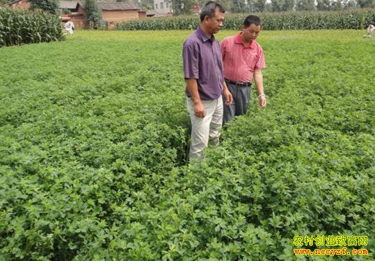 ��ͥũ��ѡ����Ŀ����Ҫ:����ޣÿĶ�������ǧԪ