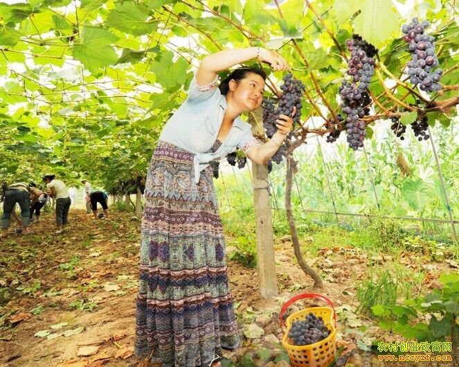 ������������������ѳ�ũ���¸�����Ŀ