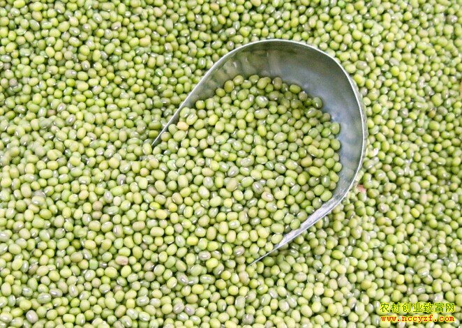 �̶��۸����Ǯһ��:�ӱ��̶��۸�ӭ�����Ǽ�