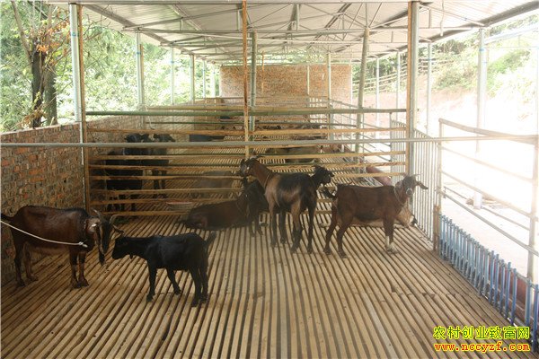 ������ɽ�����ǿ��򷢼��¸���׬18��Ԫ