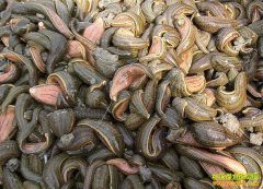 ����������������ֳˮ�δ���Ⱥ�������¸�·