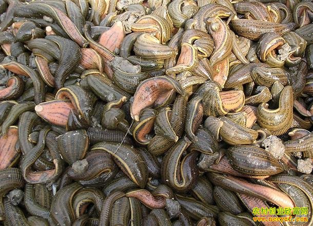 ����������������ֳˮ�δ���Ⱥ�������¸�·