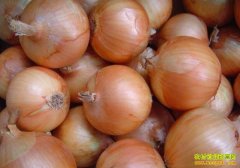 2016��м۸�Ԥ��:��м۸񱩵� �������鲻���ֹ�