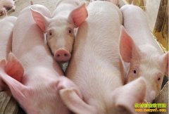 2016���ϰ��������۸�����������۸����Ʒ���