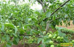 �����鱦����Ӣ��������ֺ��Ҵ�����һ���¸�·